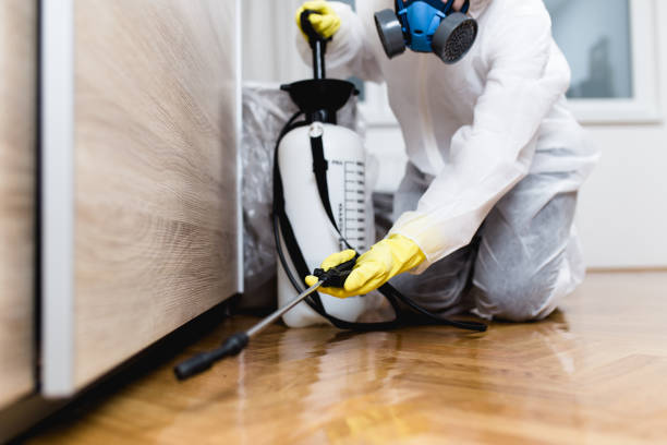 Best Insect Control  in Huber Heights, OH