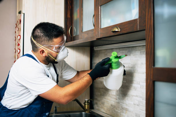 Best Pest Prevention Services  in Huber Heights, OH