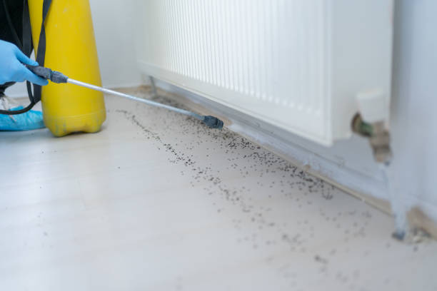 Best Pest Inspection Near Me  in Huber Heights, OH