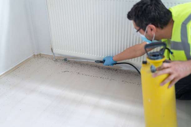Trusted Huber Heights, OH Pest Control Experts